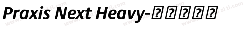 Praxis Next Heavy字体转换